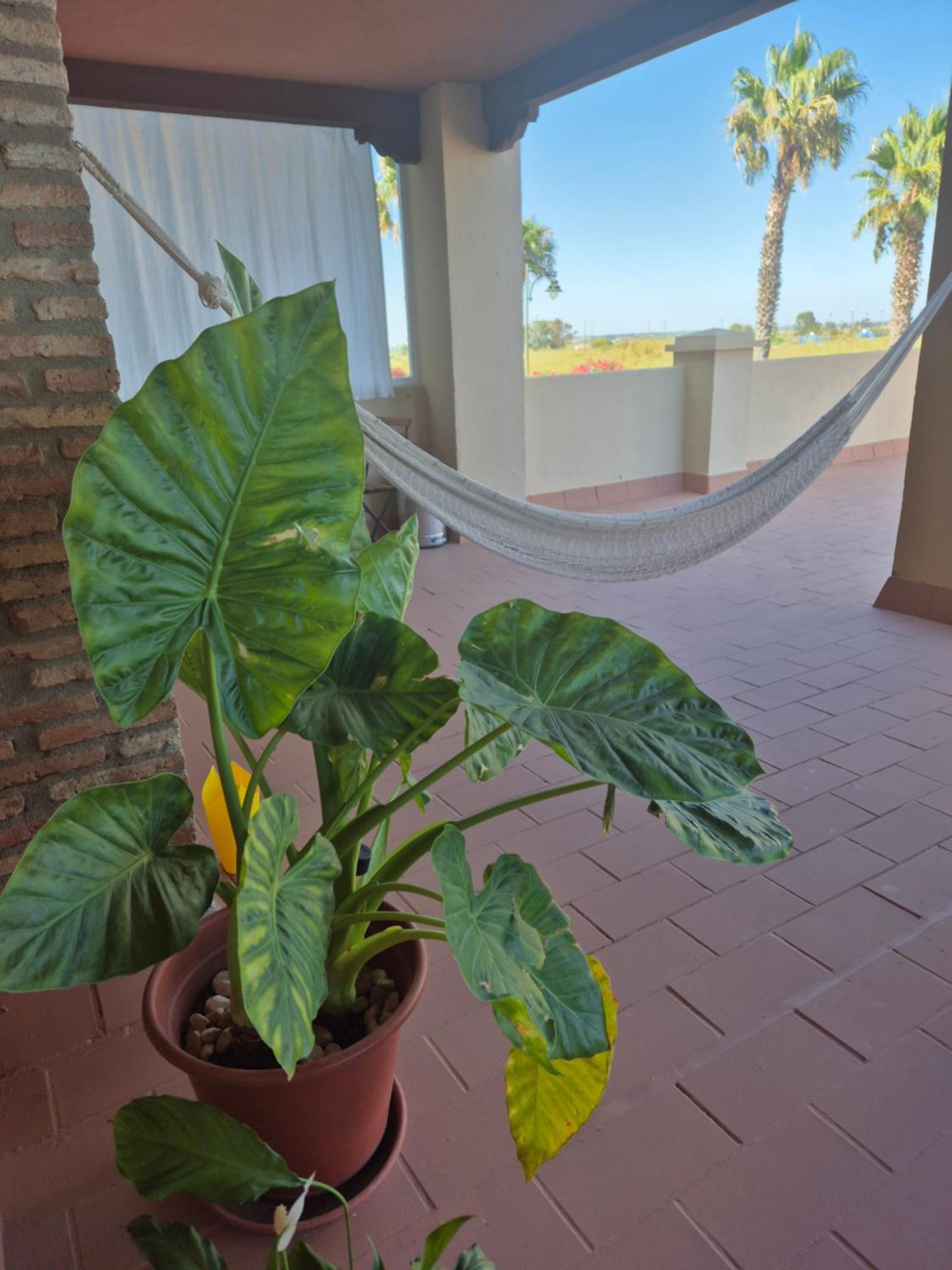 Apartamento Apartamento! Primera Línea Y Gran Terraza